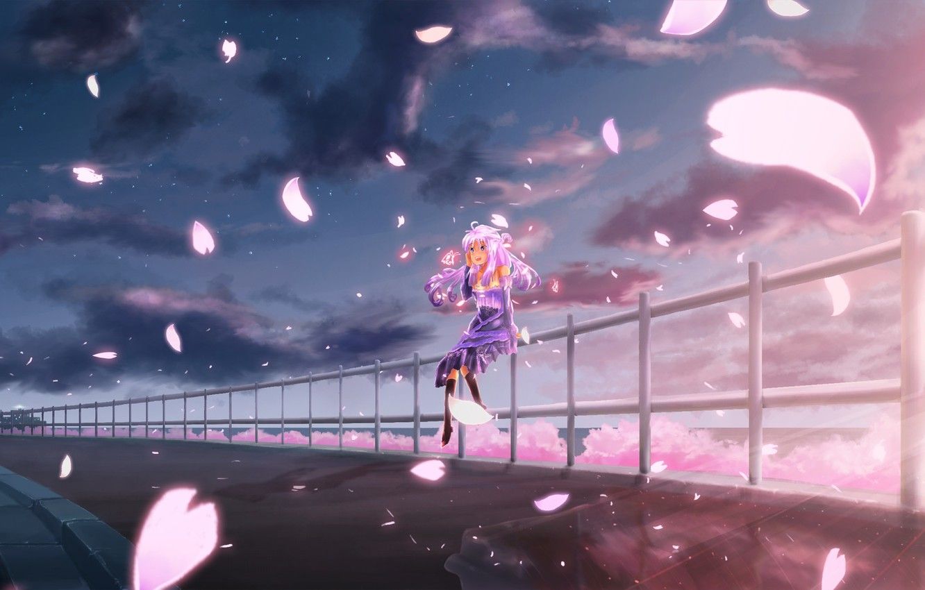 Wallpaper the sky, girl, clouds, joy, sunset, anime, petals, Sakura, art image for desktop, section прочее