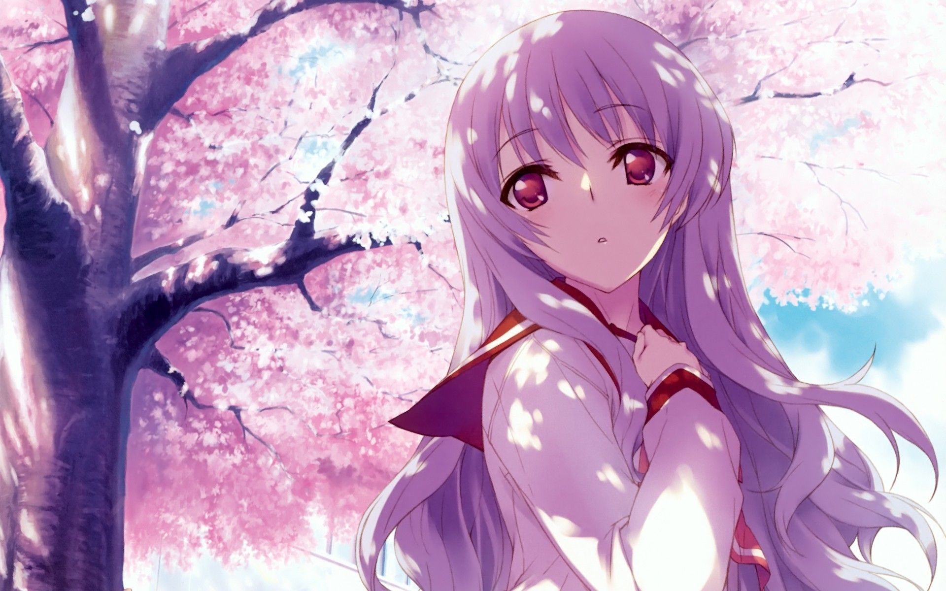 Pin oleh bakhtawar khan di Sakuras (・ω・)ノ Tree. Animasi, Gambar anime, Gambar