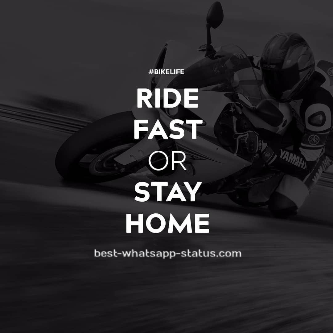 100+} Best Quotes for Bike Lovers. (Cool) Whatsapp status for Bikes. Bike quotes, Biker love, Bike lovers