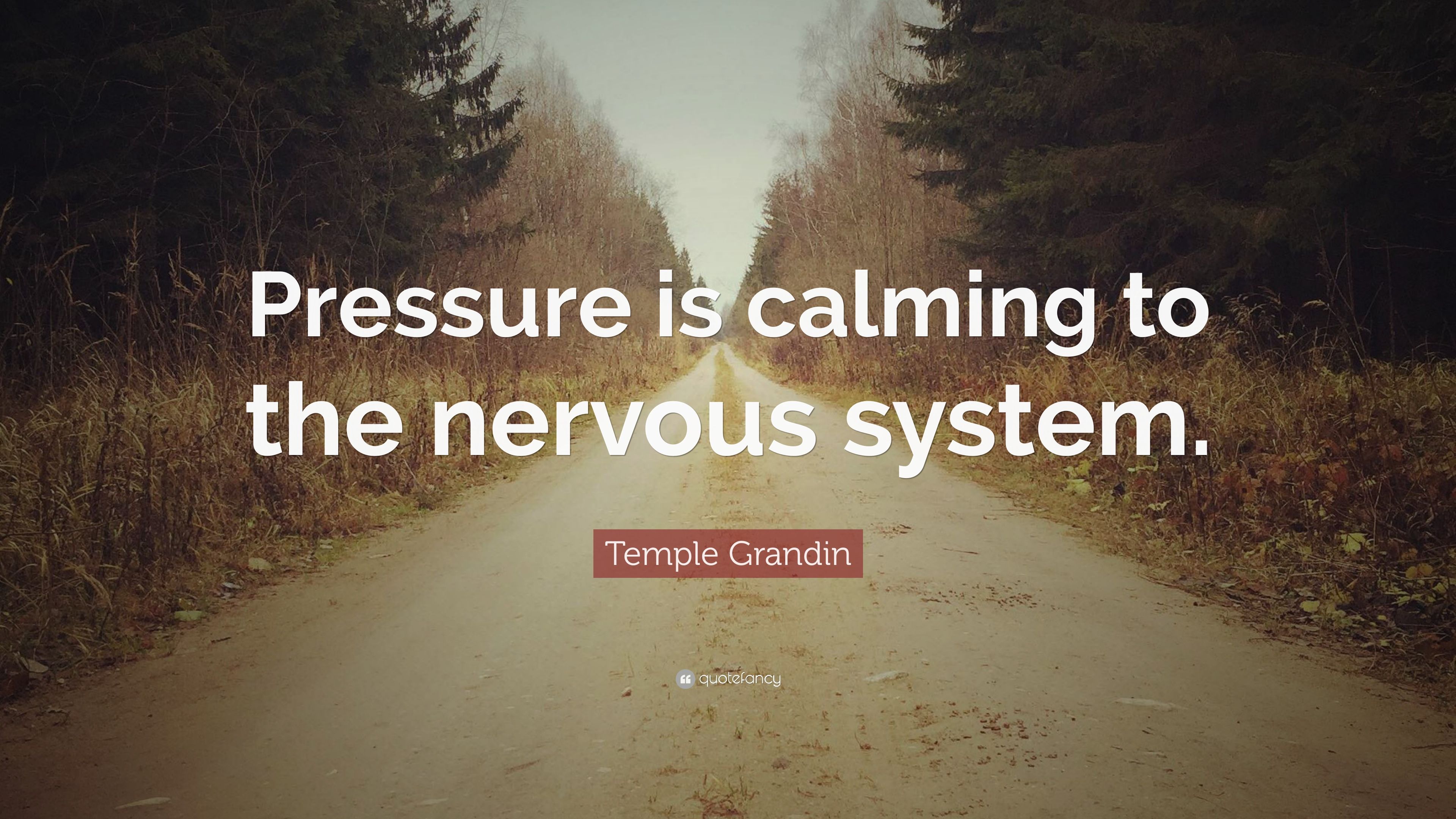 Temple Grandin Quote: “Pressure is calming to the nervous system.” (7 wallpaper)