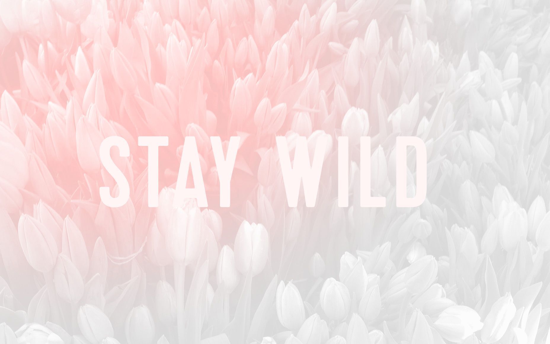 Stay Wild Wallpaper Free Stay Wild Background