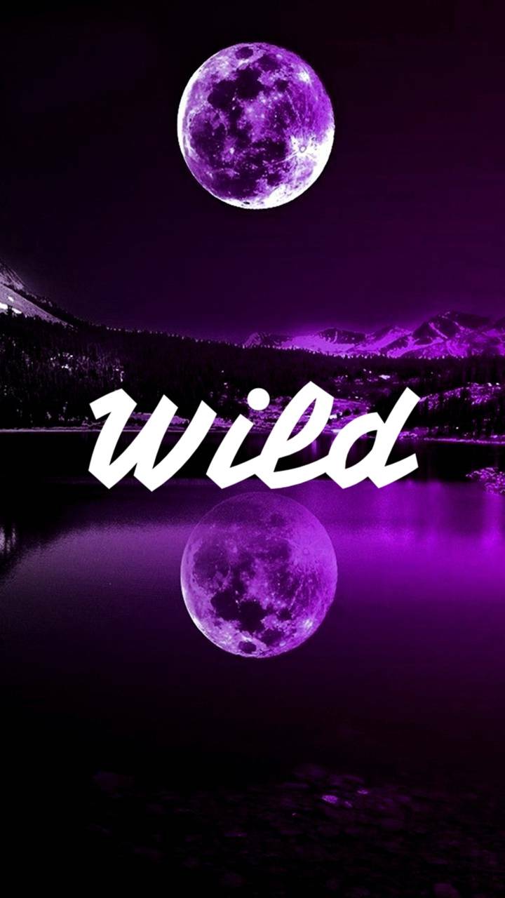 Stay Wild Wallpaper Free Stay Wild Background