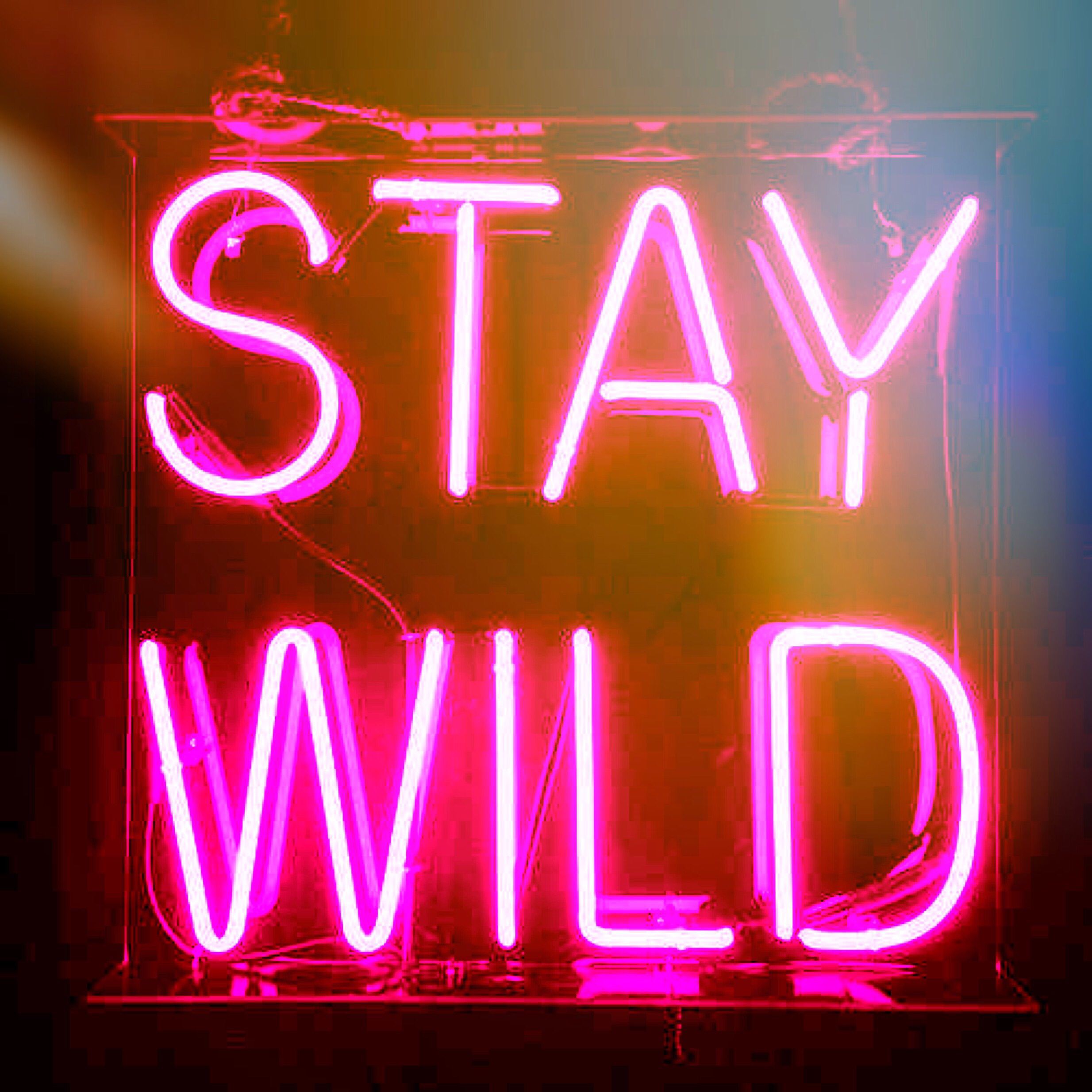 Stay wild, my child. Words, Neon signs, Neon