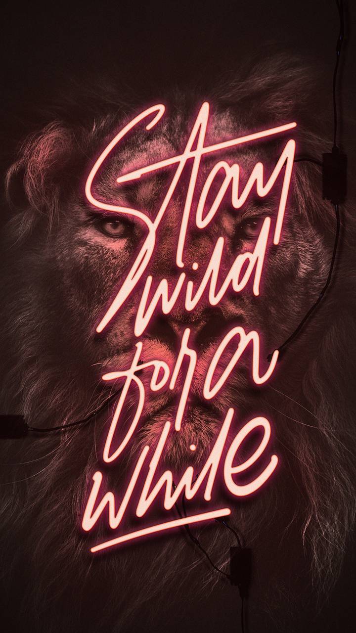 Stay Wild Wallpaper Free Stay Wild Background