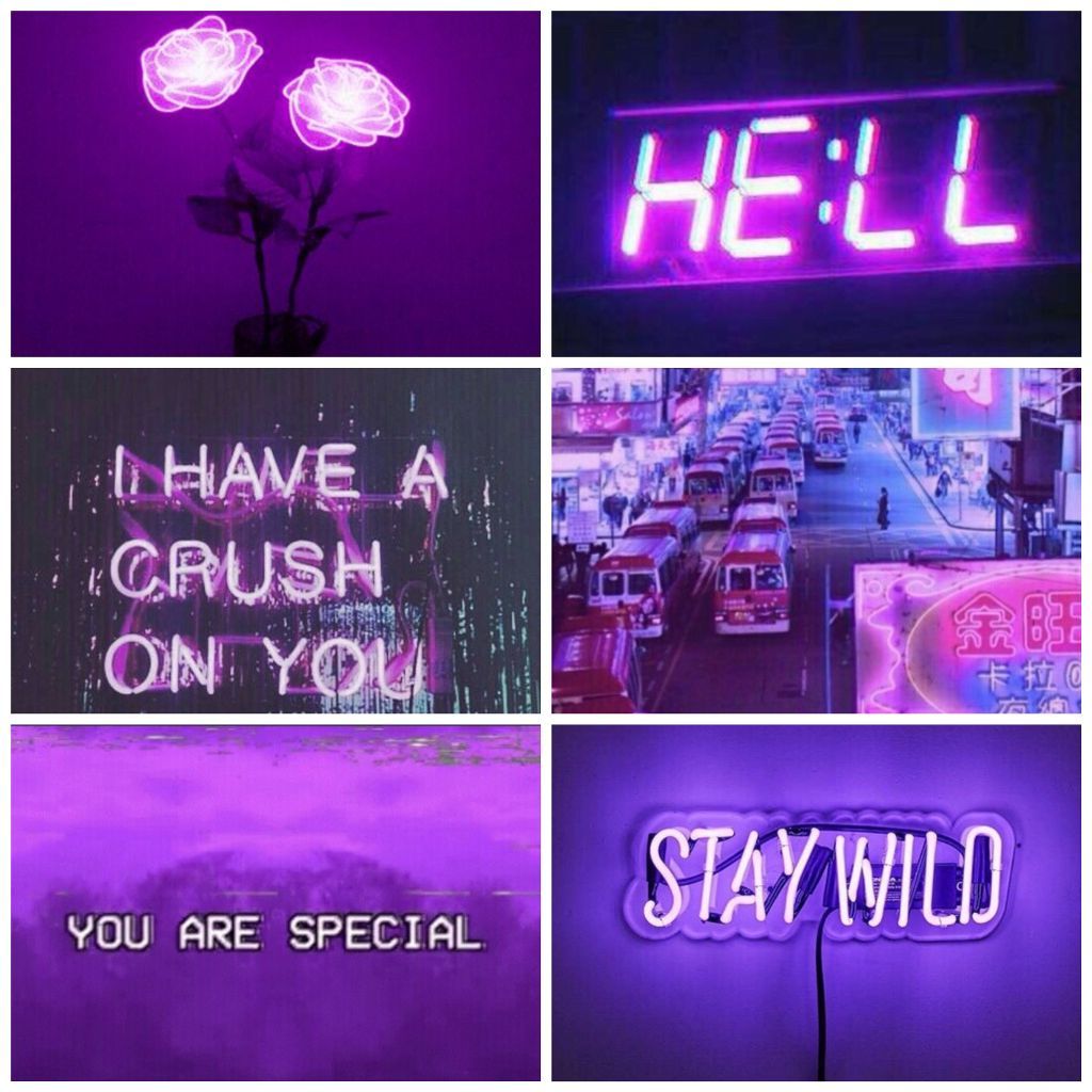 Stay Wild Aesthetic Wallpapers - Wallpaper Cave