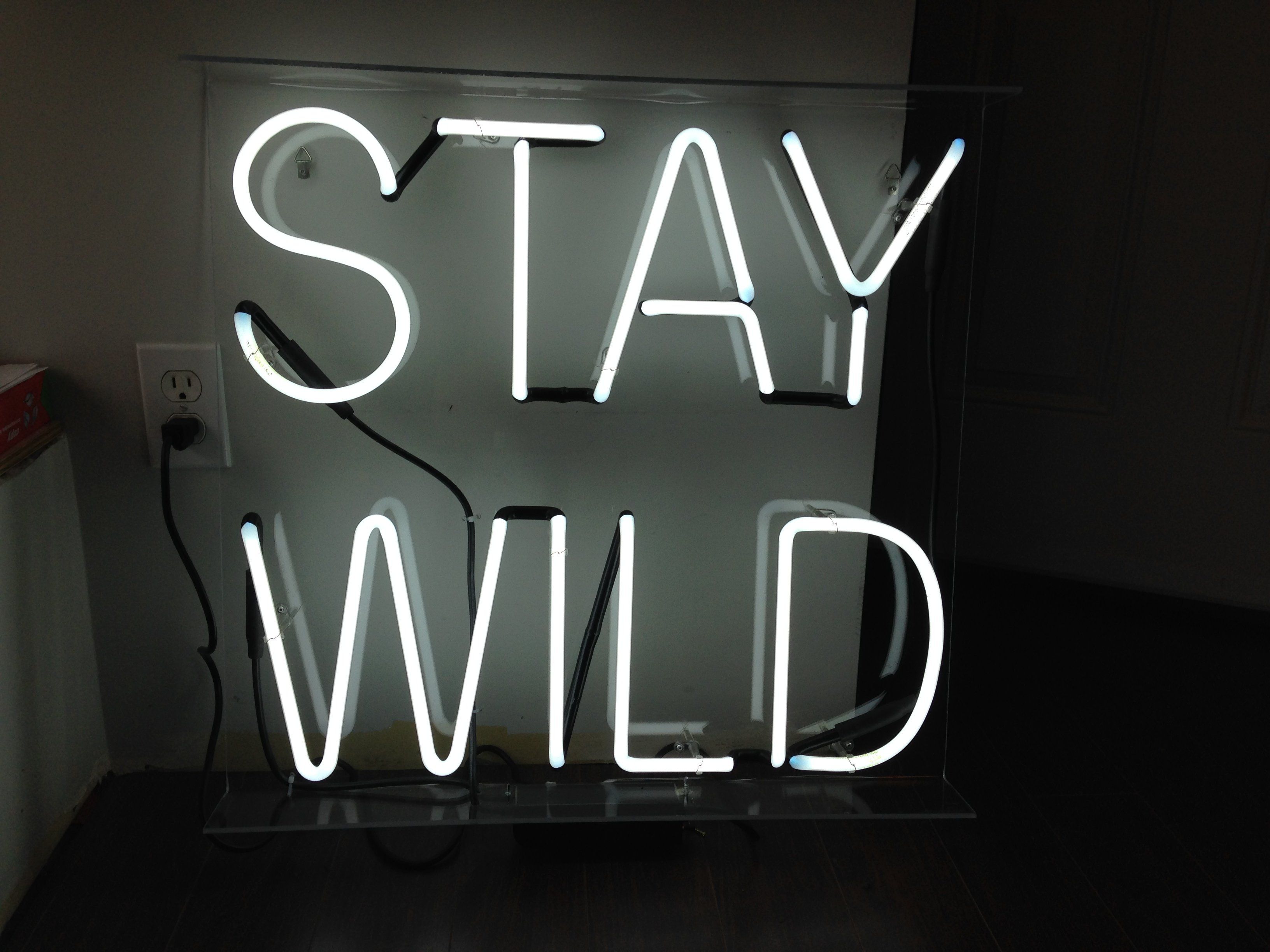 Stay Wild Wallpaper Free Stay Wild Background