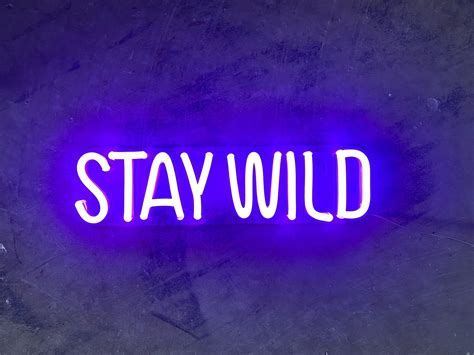 Stay Wild Aesthetic Wallpapers - Wallpaper Cave
