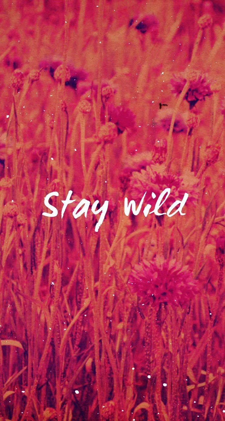 Stay Wild Wallpaper