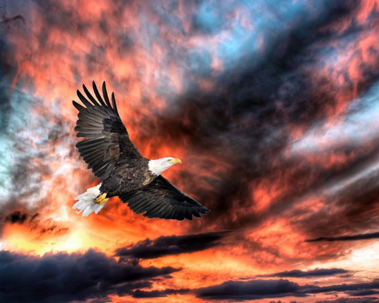 Sunset Eagle Wallpaper Free Sunset Eagle Background