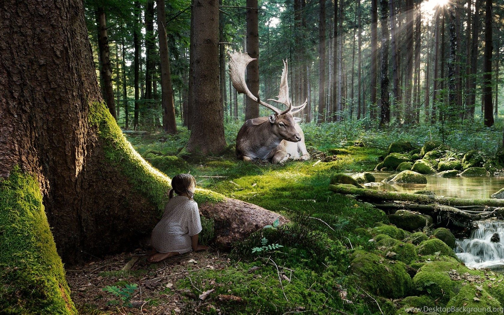 Wallpaper Forest Description Spring Fairytale Big Deer 1920x1080. Desktop Background