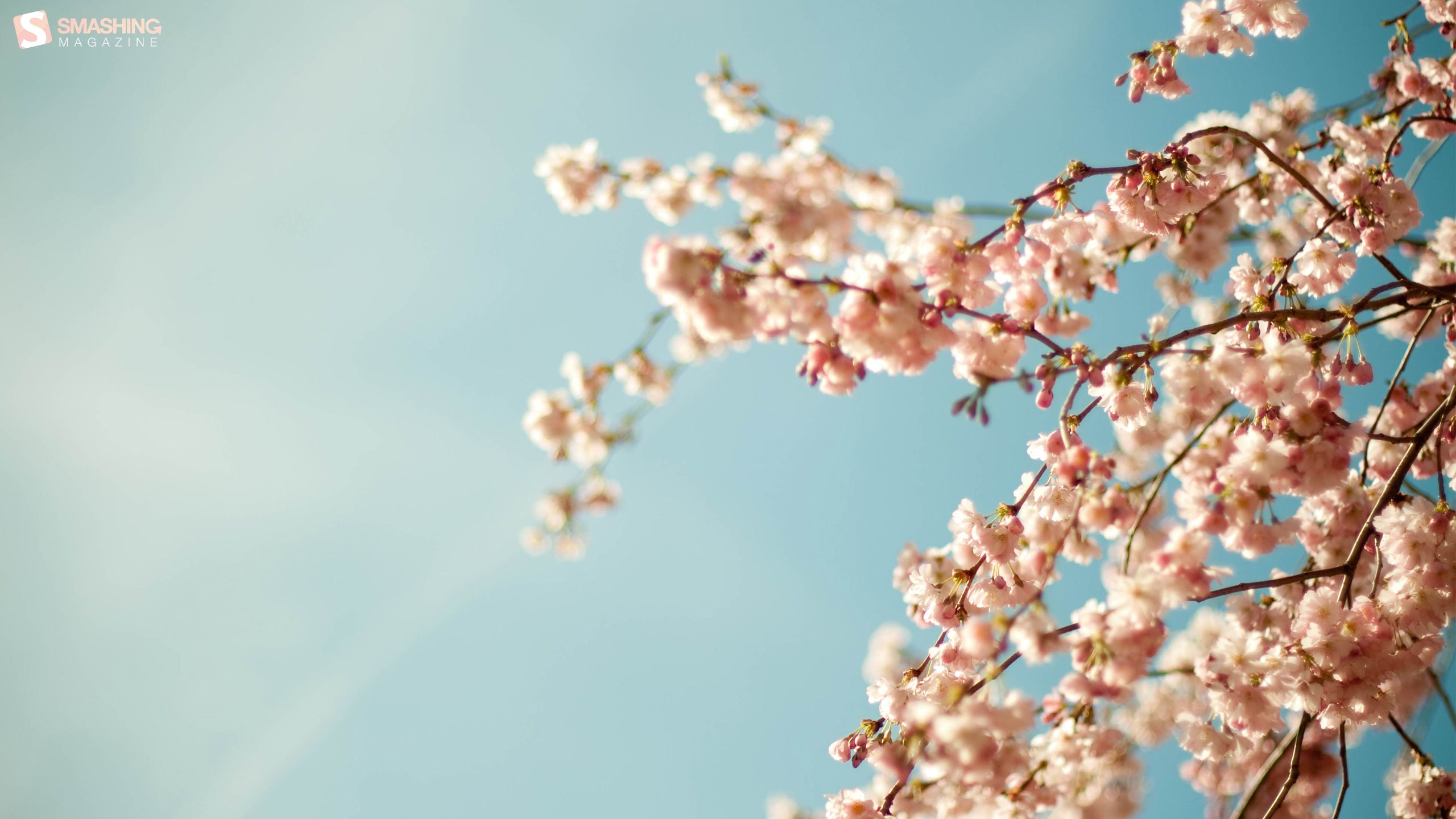 Spring is here desktop PC and Mac wallpaper