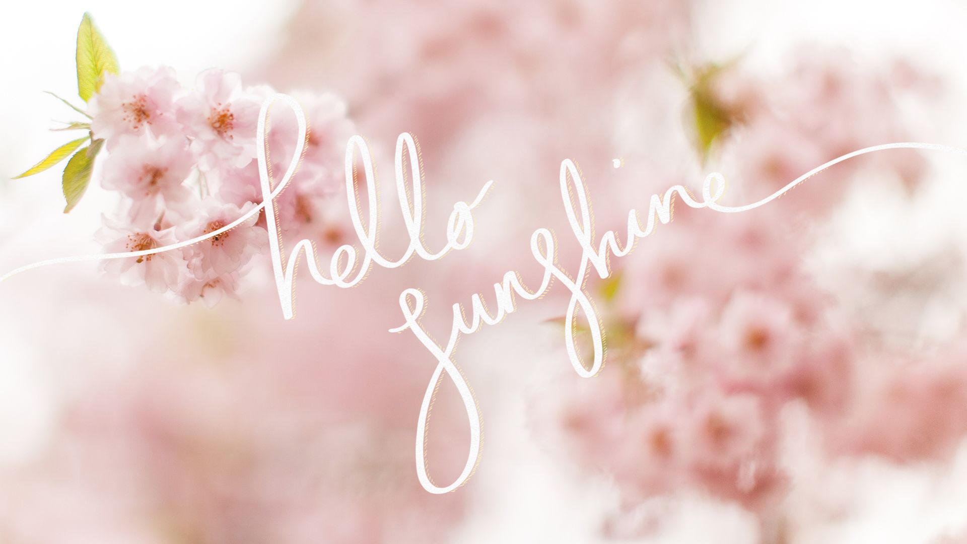 hello sunshine wallpaper. Spring desktop wallpaper, Spring wallpaper, Computer screen wallpaper