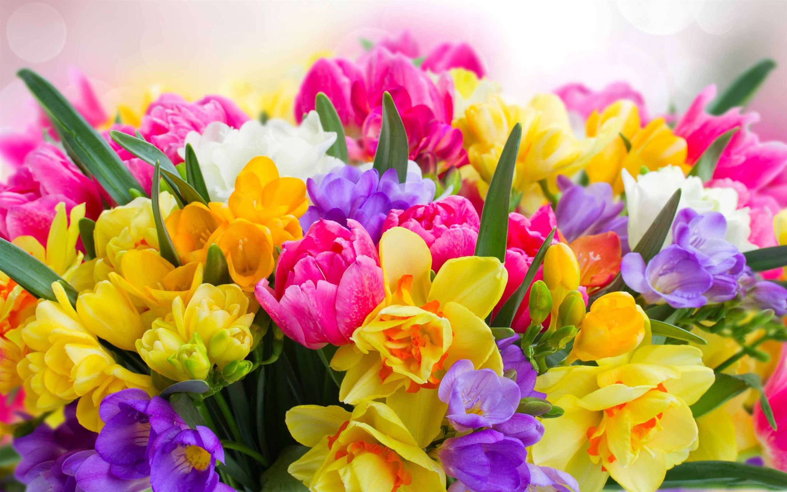 Beautiful Spring Flower MacBook Air Wallpaper Download