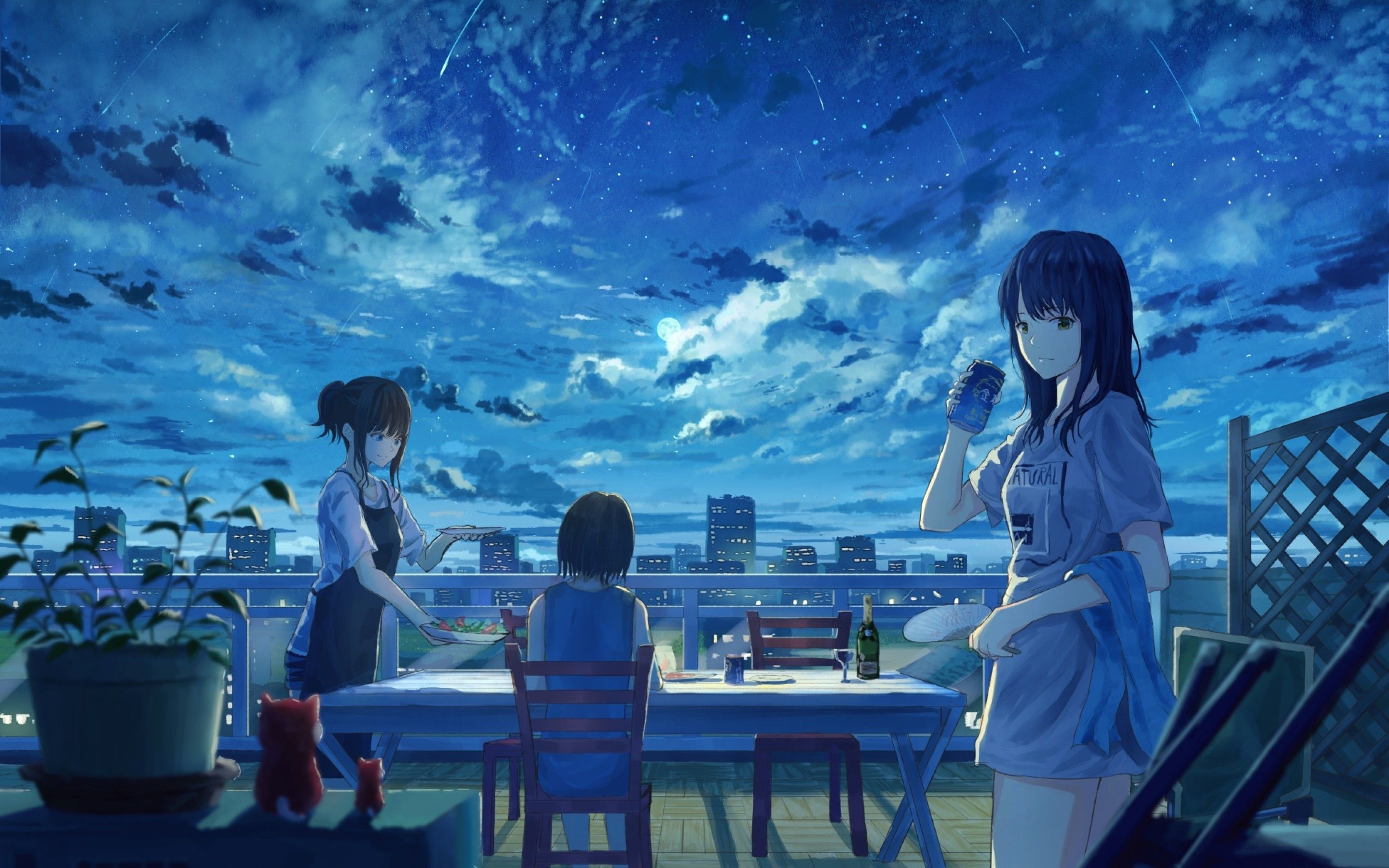 Download 2880x1800 Anime Girls, Night, Friends, Dinner, Clouds, Falling Stars Wallpaper for MacBook Pro 15 inch
