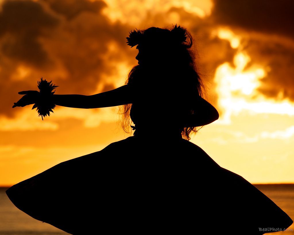 Hula Wallpapers Wallpaper Cave Wp8689112