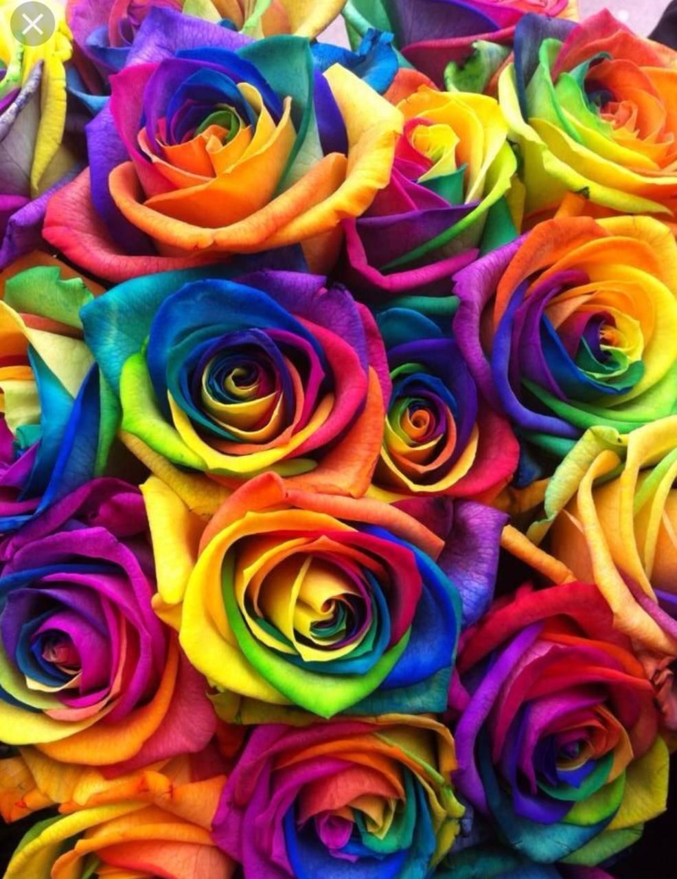 Floral. Rainbow wallpaper iphone, Rainbow flowers, Flower background iphone