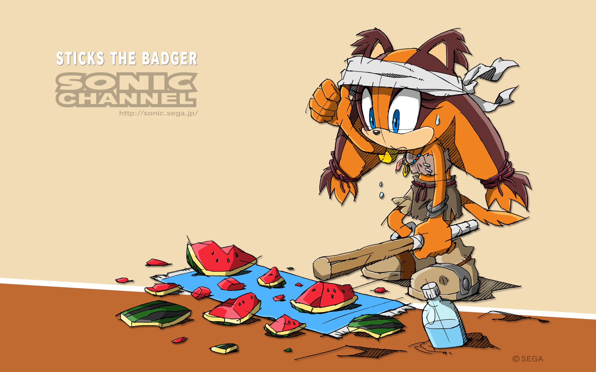 Oh. it's just a melon. Sonic fan characters, Sonic heroes, Sonic the hedgehog