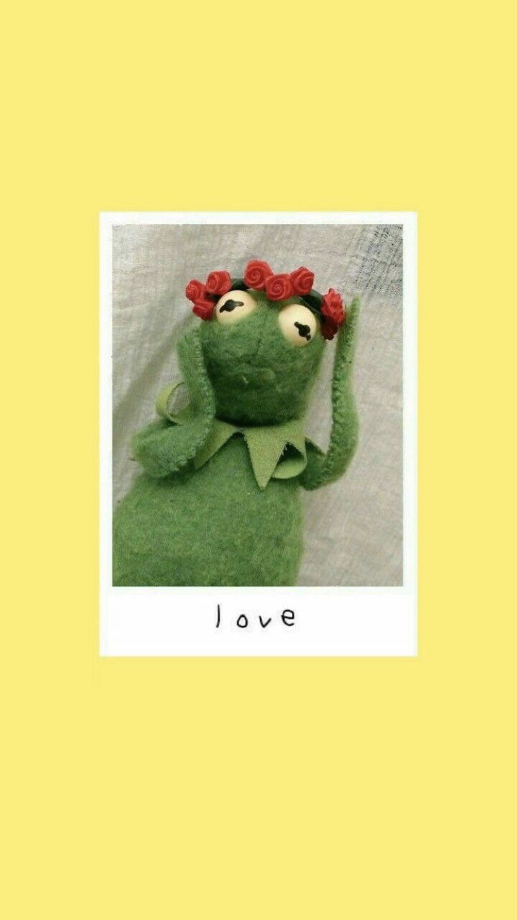 Vsco Wallpaper Kermit