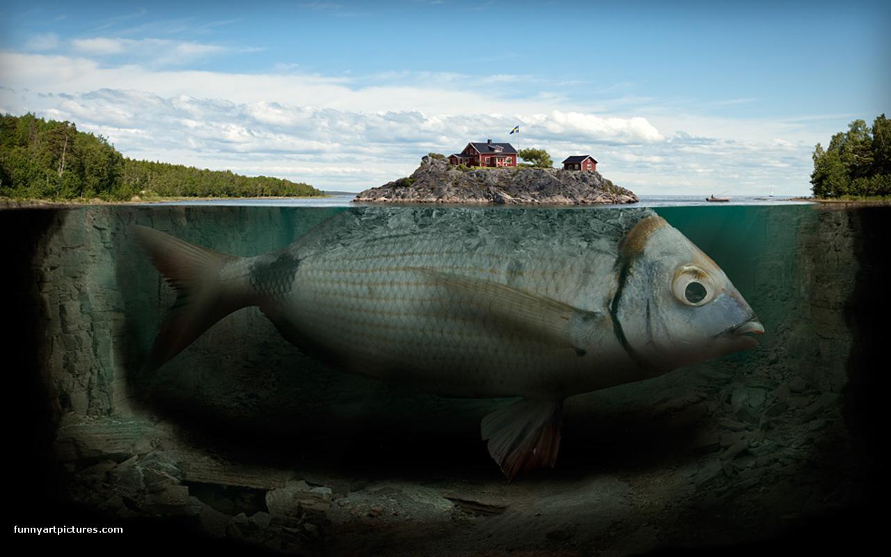 Desktop wallpaper, Fishy island, funny picture gallery