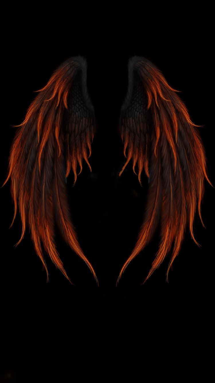 Lucifer Angel Devil wings wings color desktop Wallpaper png  PNGWing