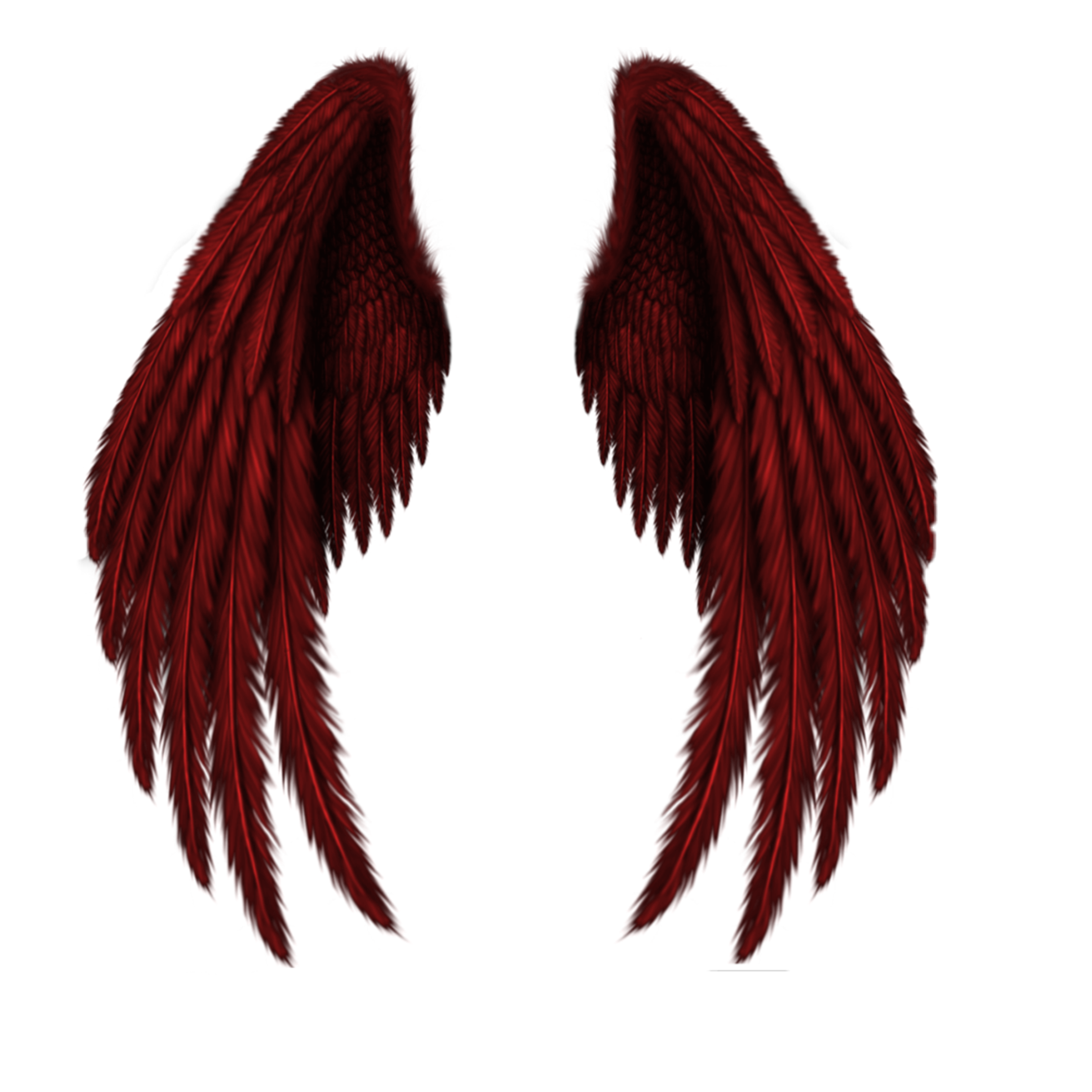 freetoedit#wings #red #gothic #dark #remixed. Angel wings png, Wings png, Wings drawing