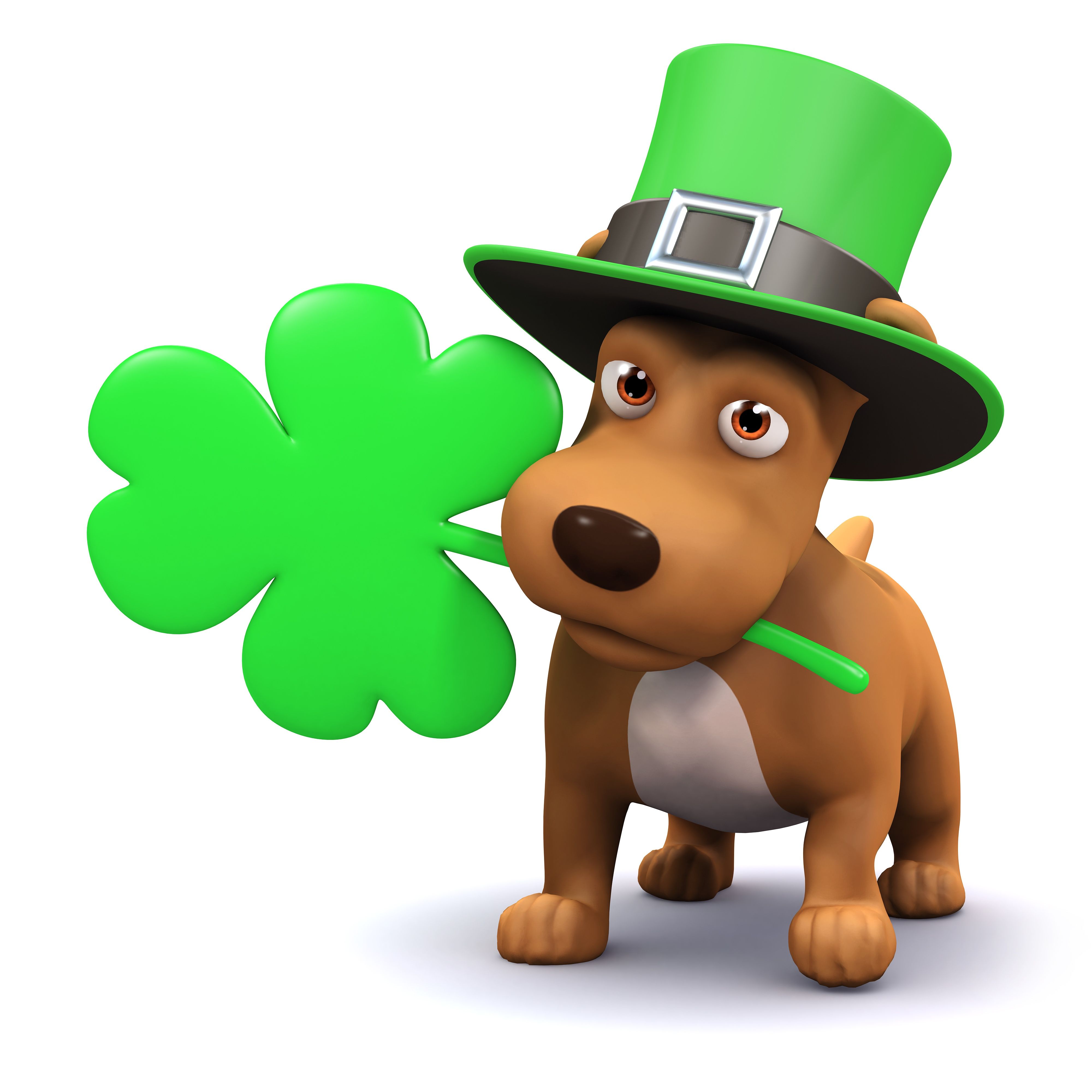 cute little saint patricks day animals