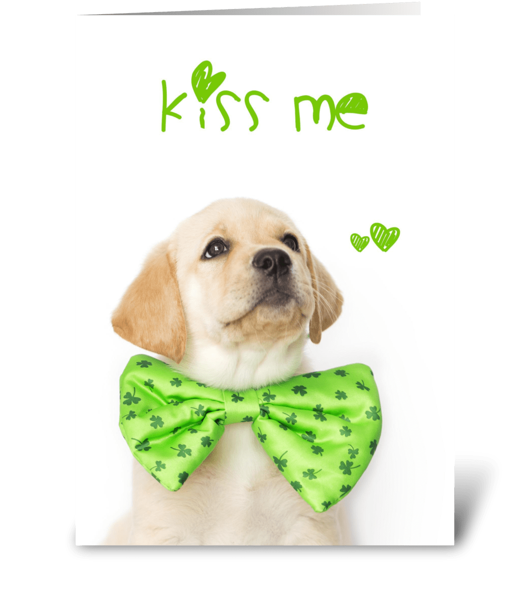 Kiss Me St. Patricks Day Puppy this greeting card designed