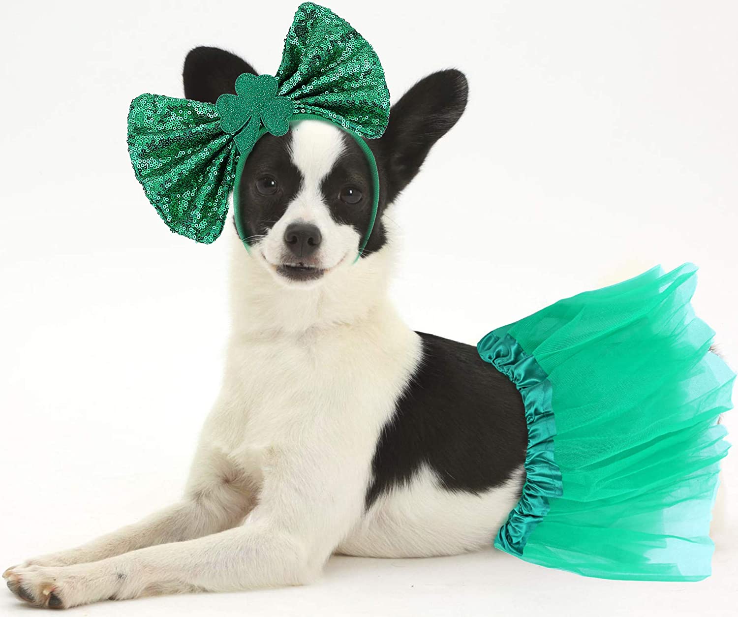 Amazon.com, St Patricks Day Girl Dog Costume, Doggie St Patrick's Day Tutu and Bowtie Headband Kit, Pet Supplies