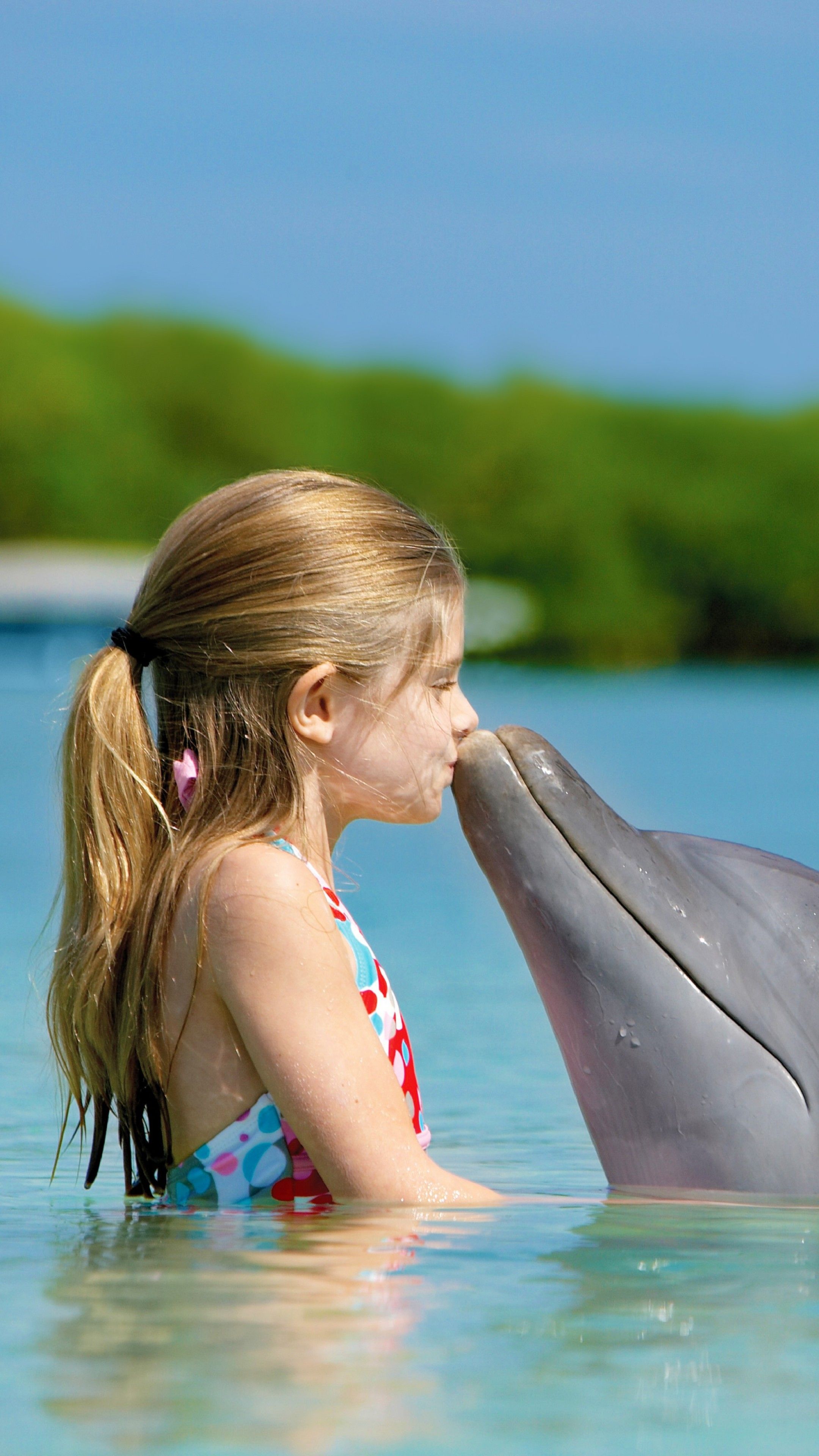 Wallpaper Girl and dolphin, ocean, Maldives, Travel