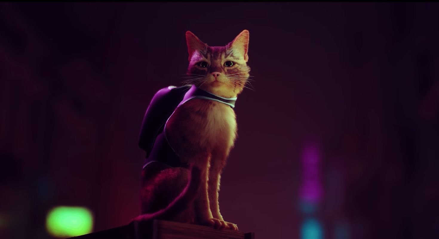 'Stray' is a futuristic cat simulator for PS4 and PS5