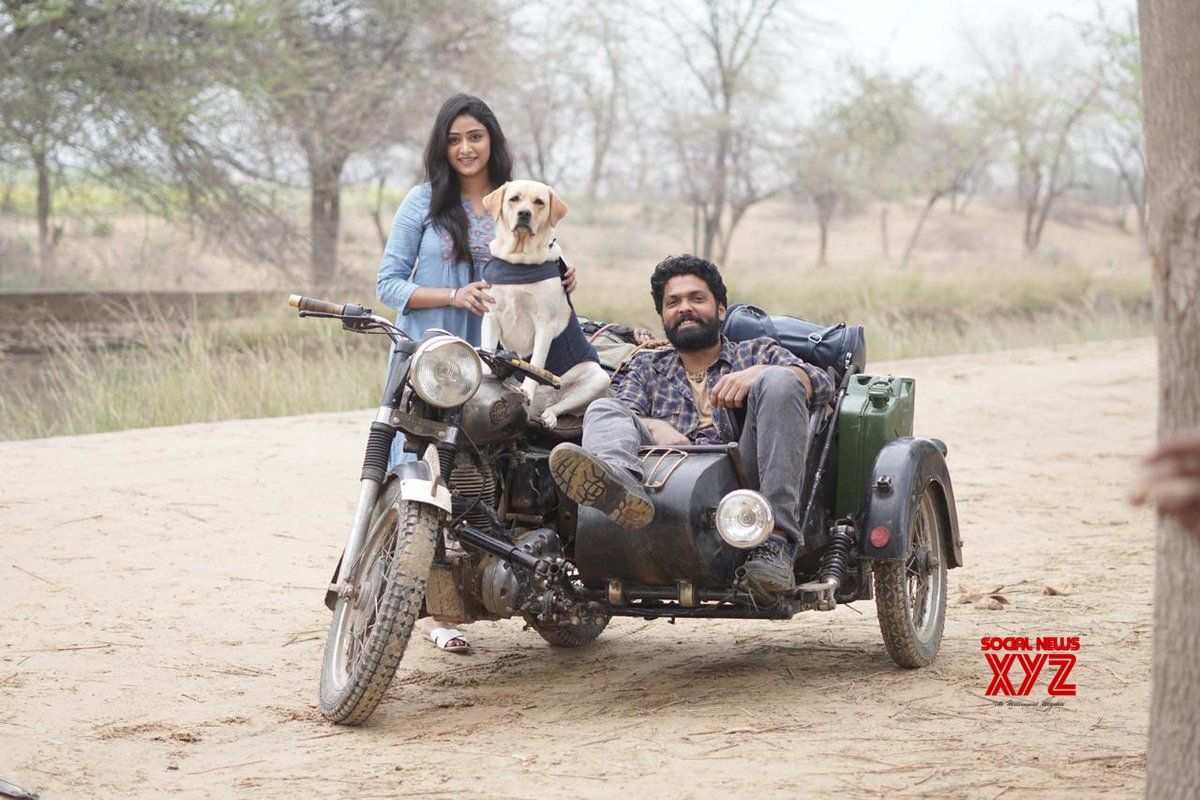 Rakshit Shetty And Sangeetha Sringeri's 777 Charlie Movie Stills News XYZ