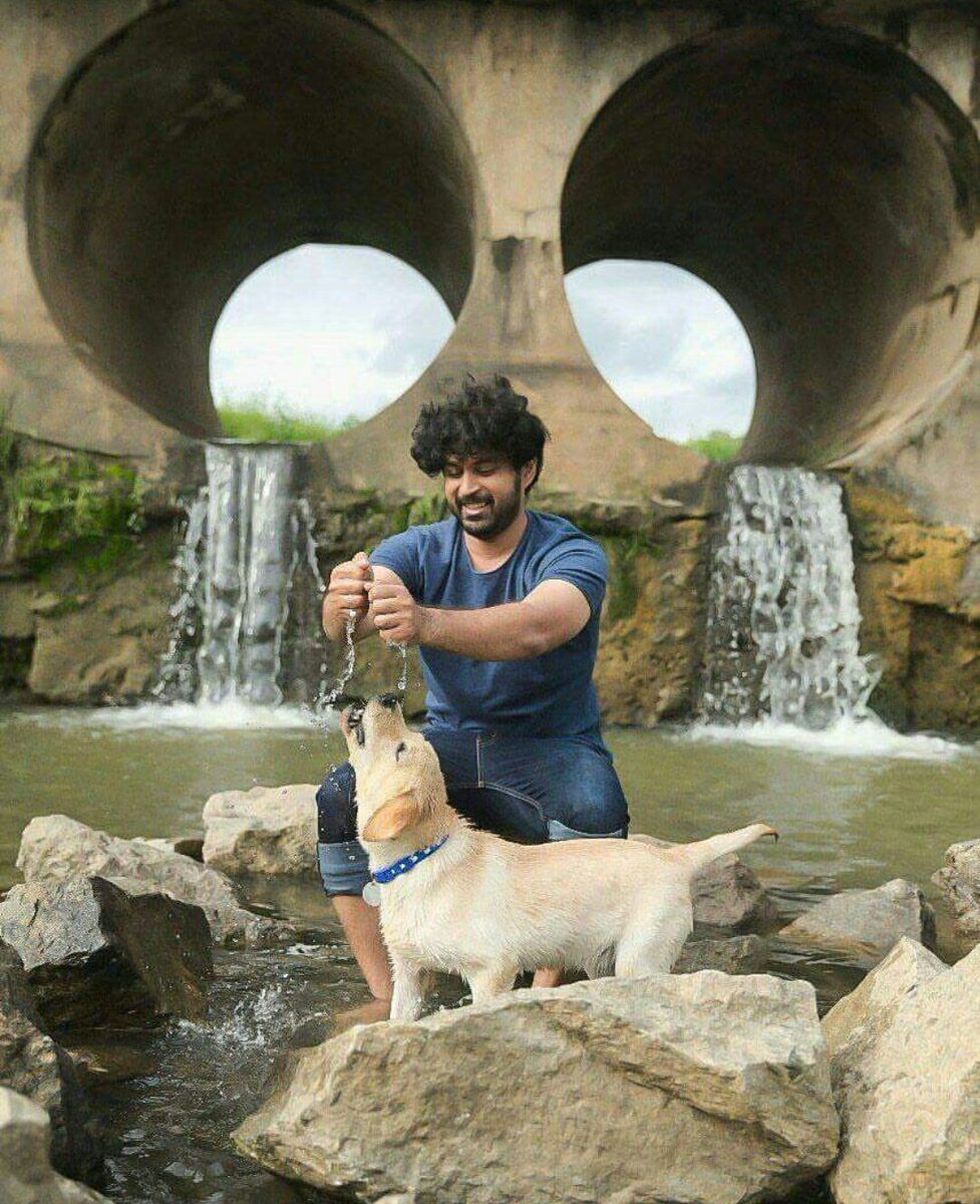 Charlie Movie Shetty: Kiran Raj Studios. Shivu aDDa Forum Movie Discussion