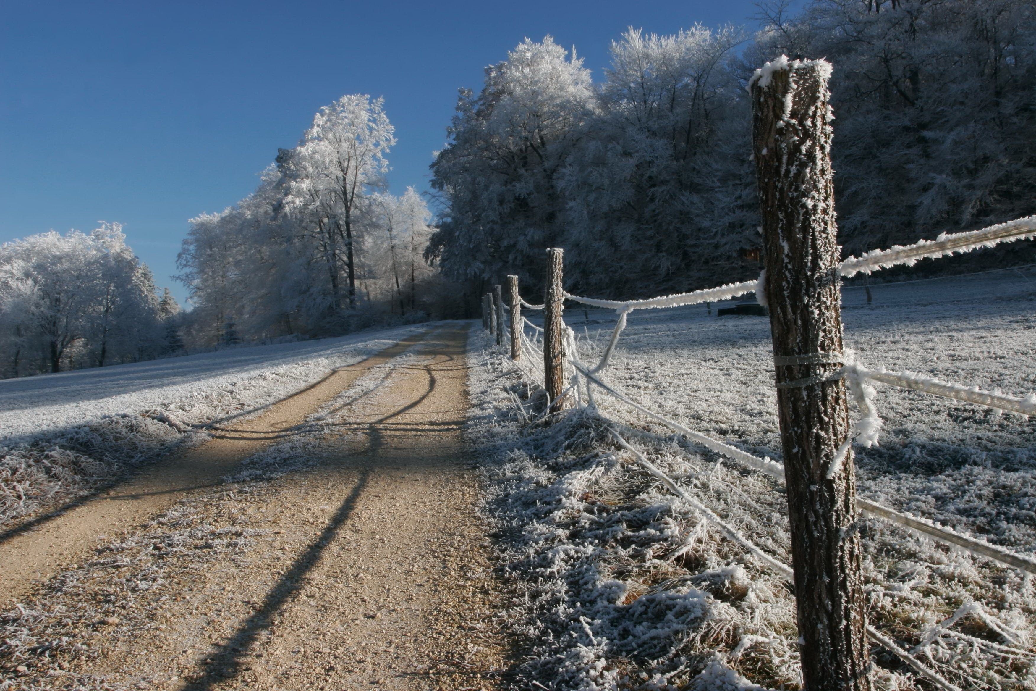 Wallpaper, fence, stakes, hoarfrost, gray hair, winter, cold, road, country 3504x2336
