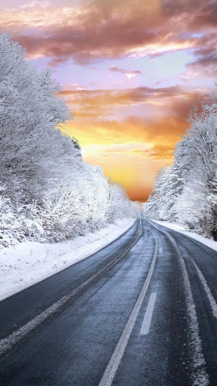 Sunset, highway, winter, white trees, nature, 750x1334 wallpaper. Nature, Winter scenes, Winter trees