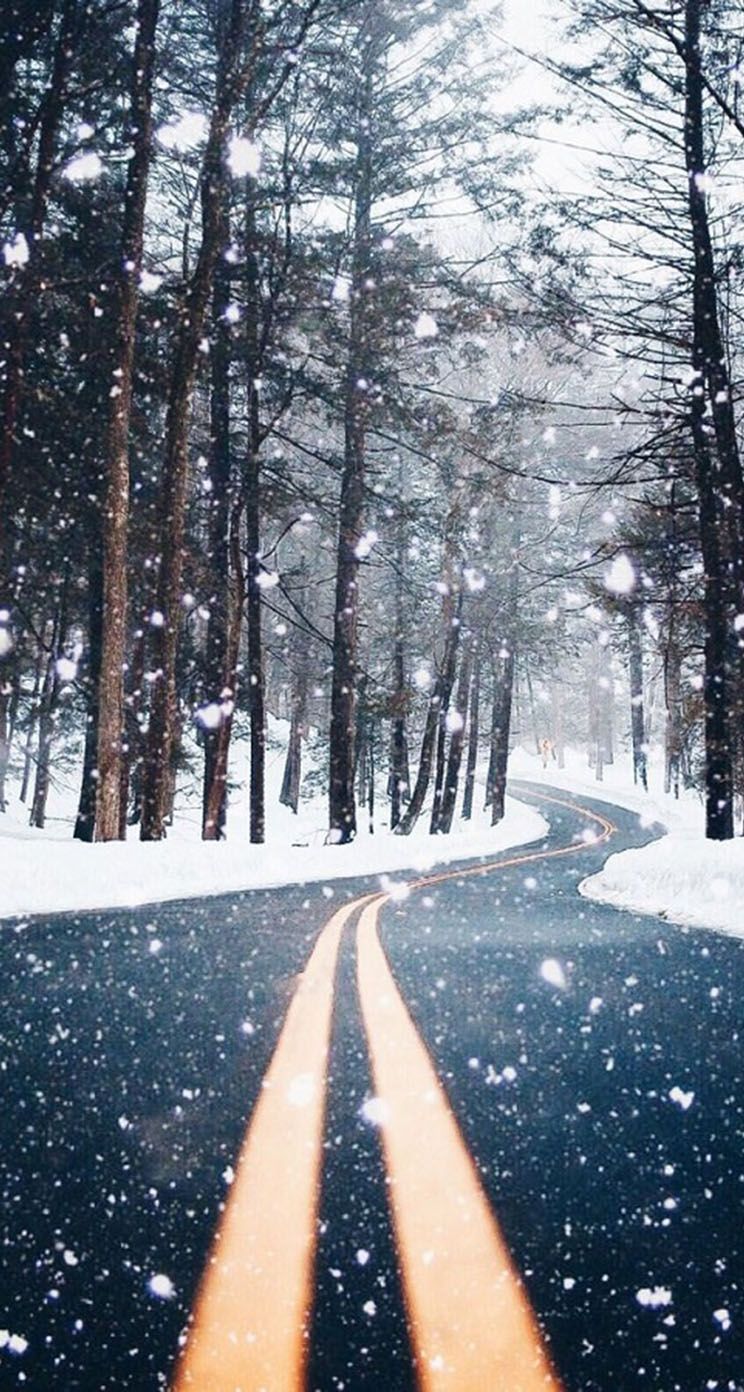 Winter Forest Road Wallpaper