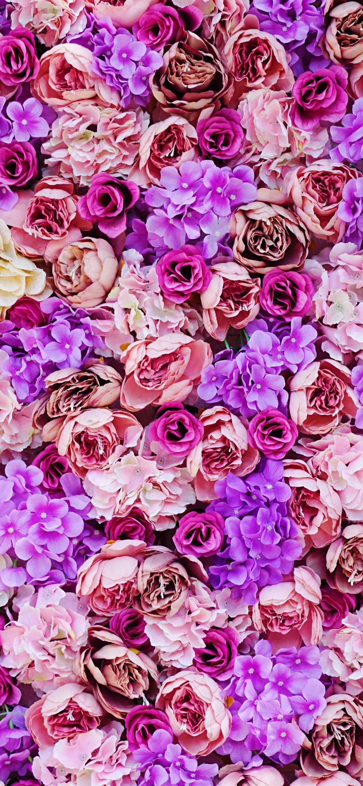 Best Flower iPhone 12 HD Wallpaper