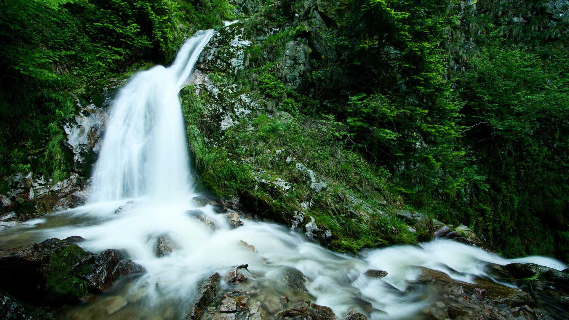 mountain spring water flowing down a mountain