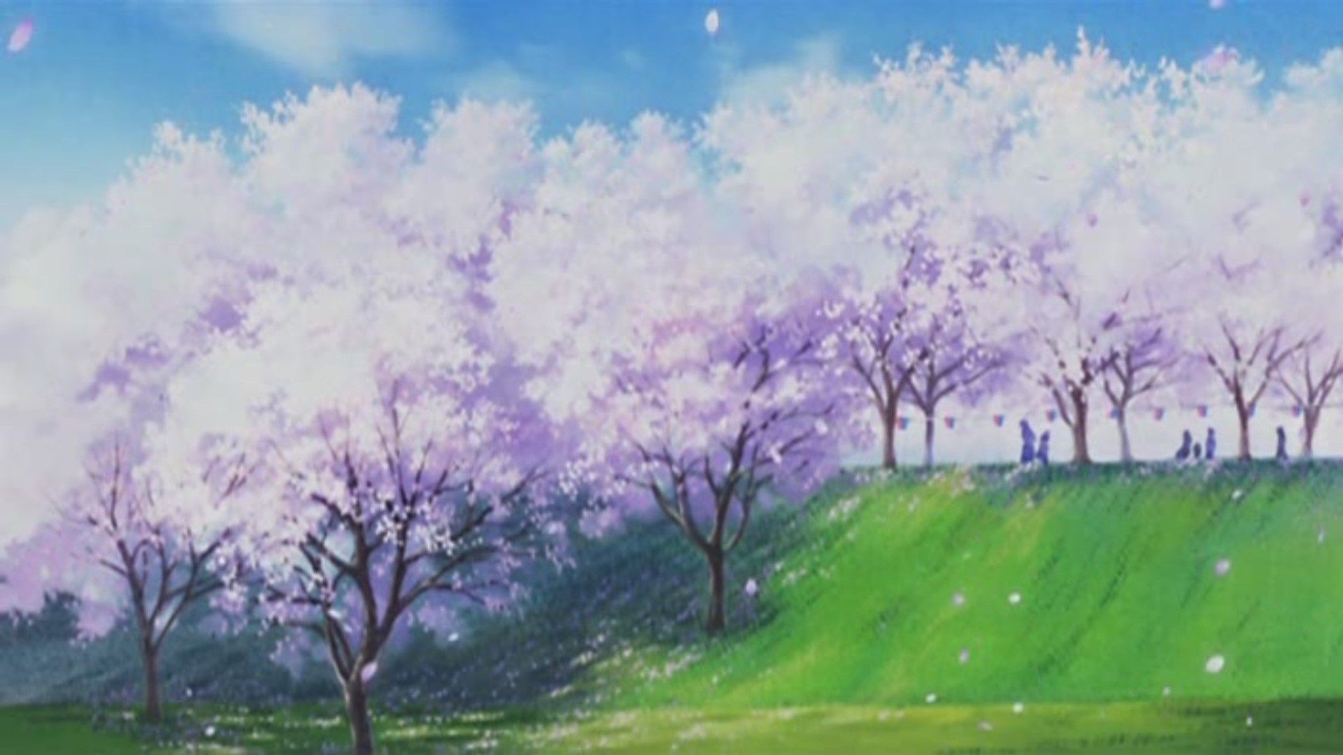 Anime Cherry Blossom Wallpaper Free Scenery Background