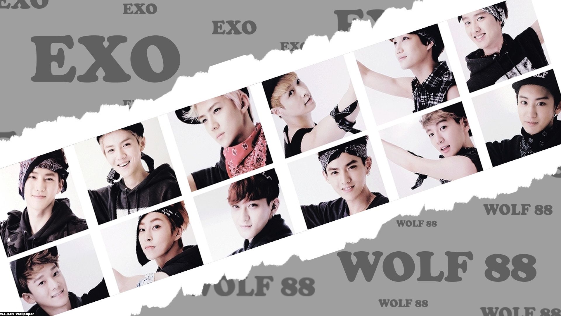 EXO 12 Members Wallpaper