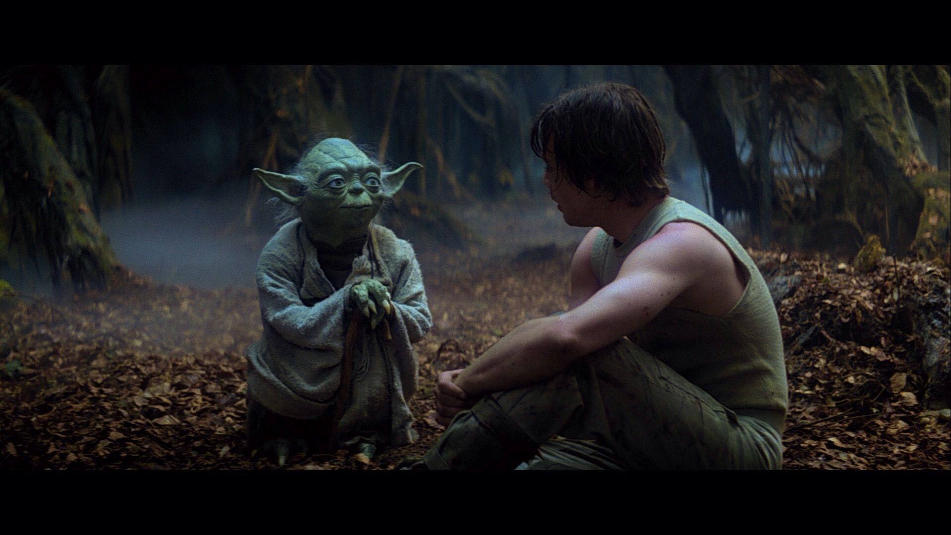 Star Wars Episode V The Empire Strikes Back Yoda