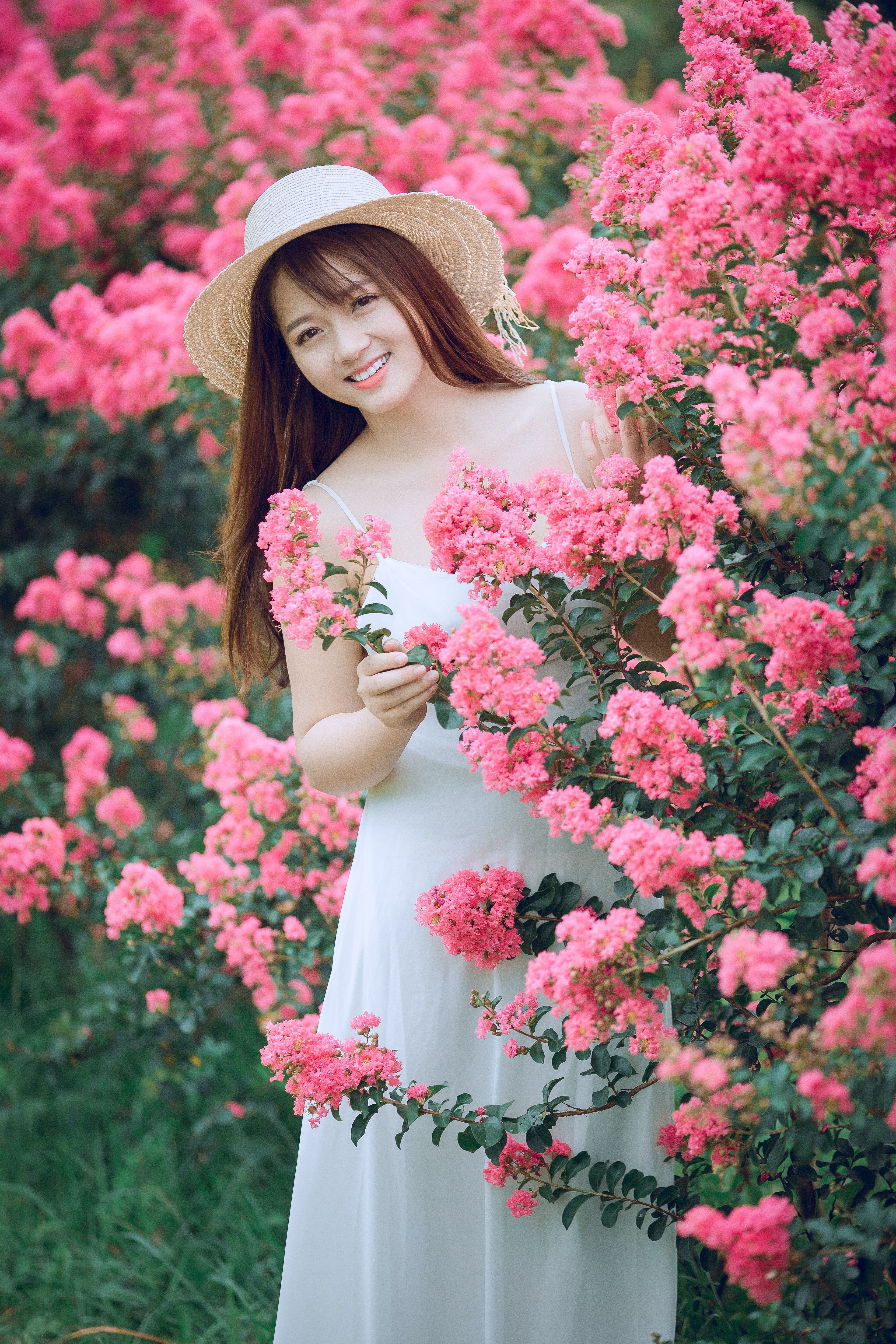 Woman Behind Pink Flowers · Free