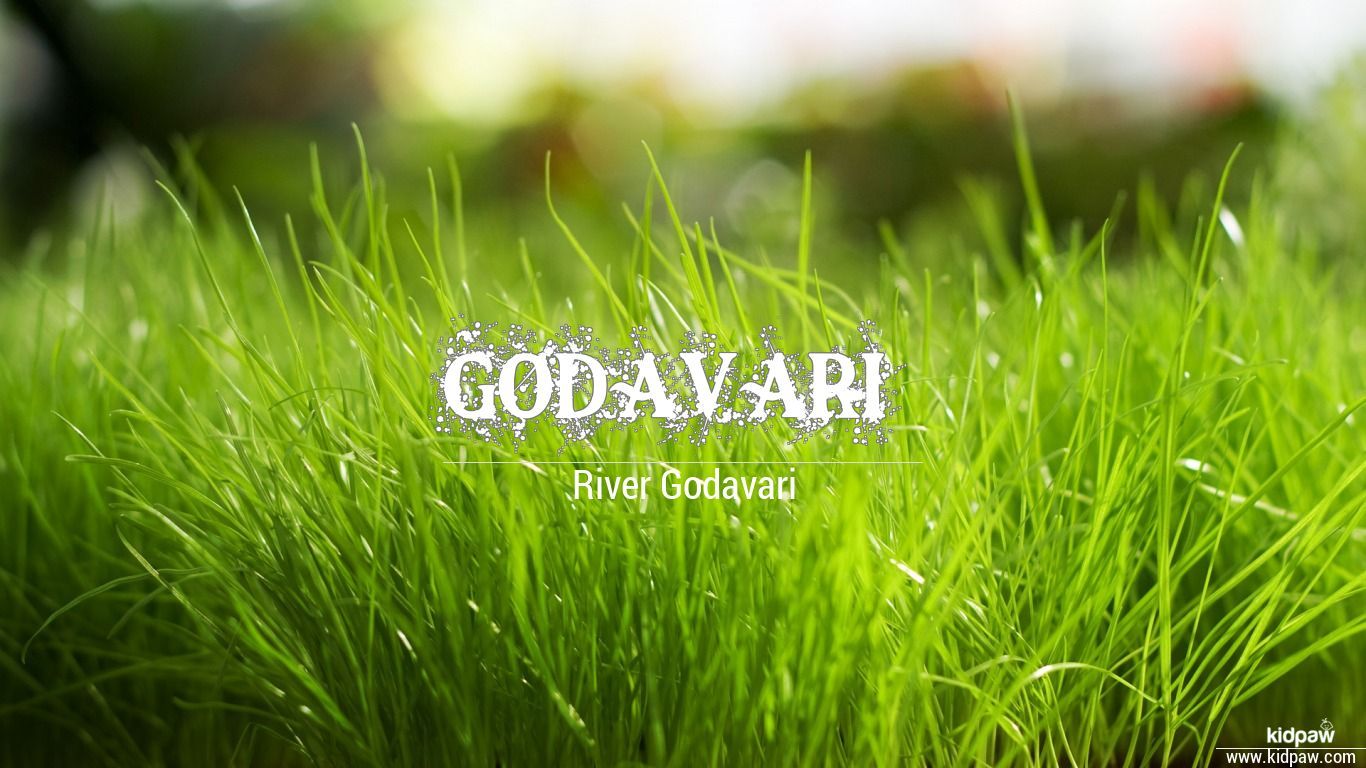 Godavari 3D Name Wallpaper for Mobile, Write गोदावरी Name on Photo Online