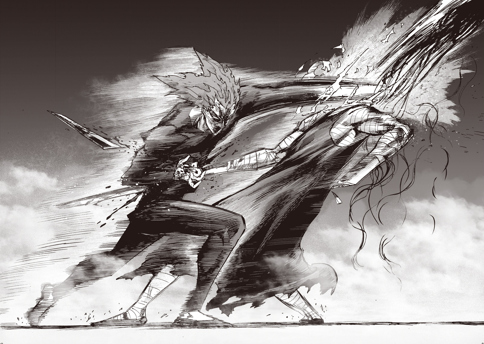 Garou. One Punch Man