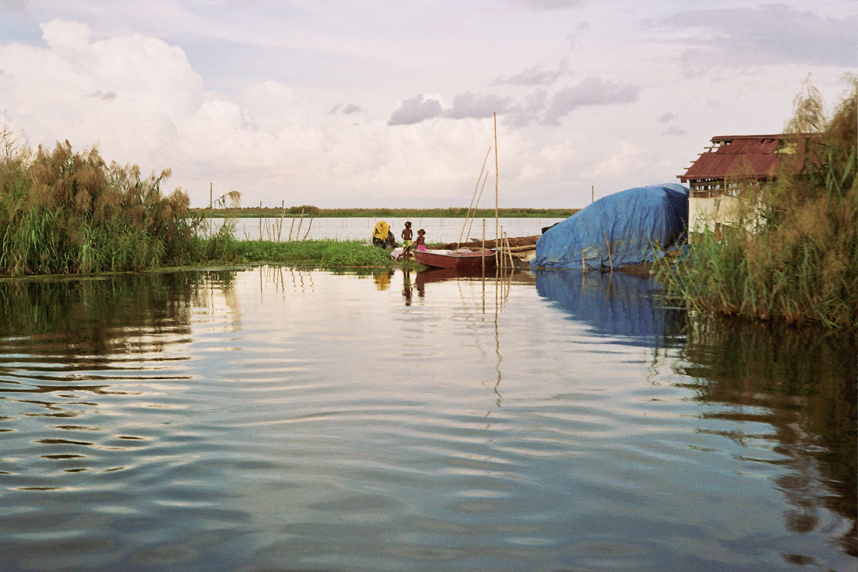 Konaseema Godavari Ideas. Canals, Fields, Lush