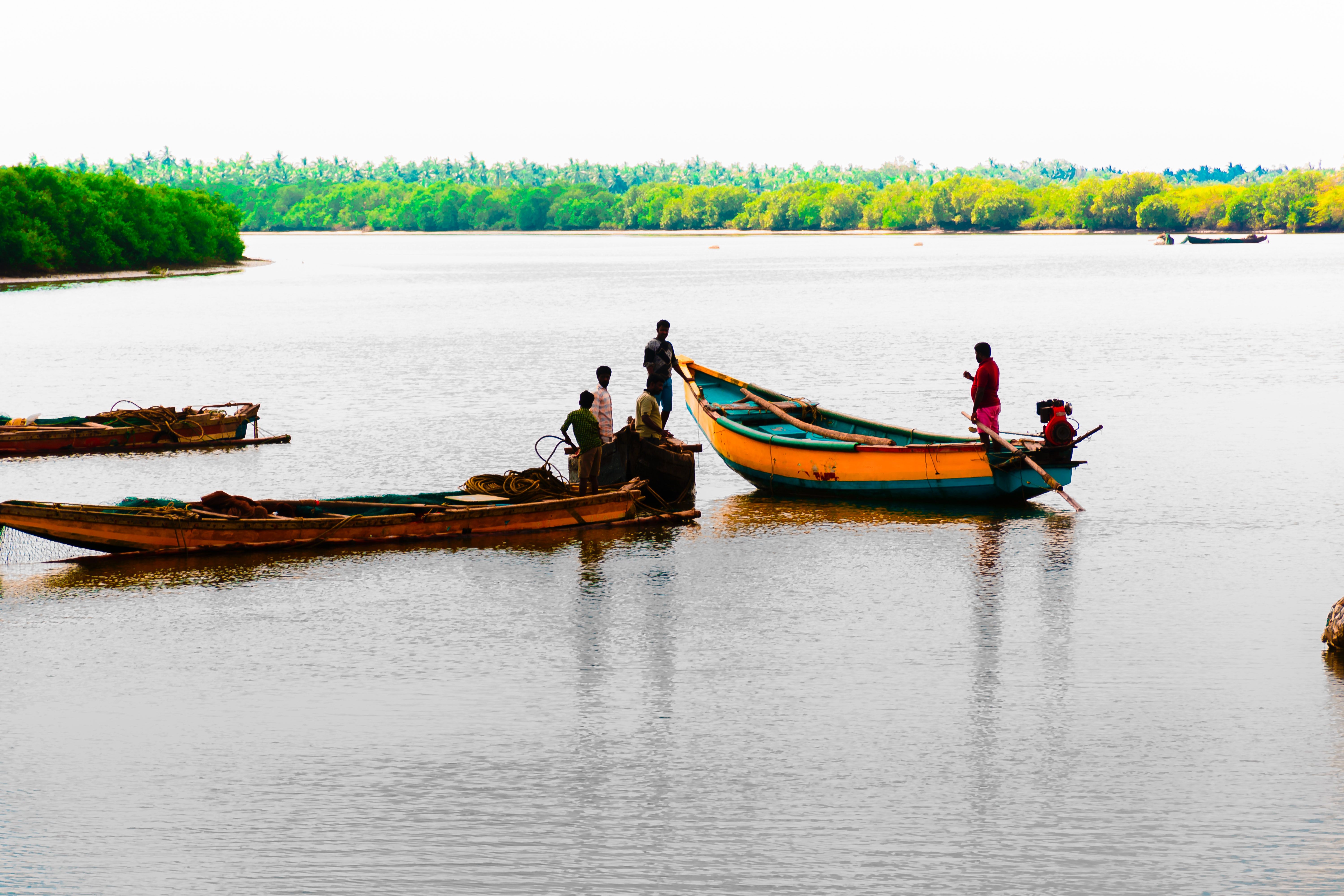 Free of Godavari River