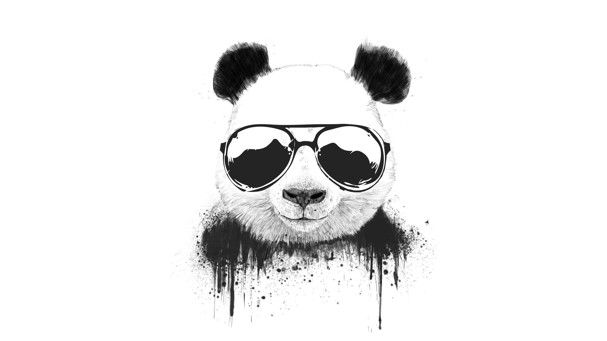 Stay Cool Panda 2048x1152 Resolution HD 4k Wallpaper, Image, Background, Photo and Picture
