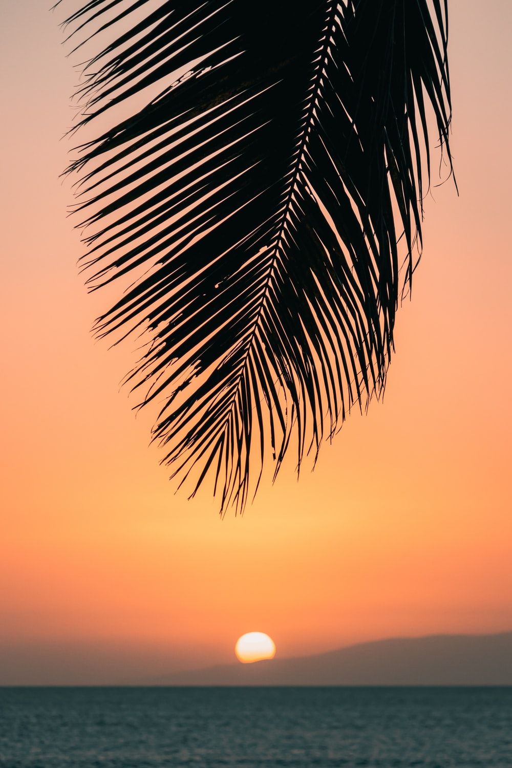 Hawaii Sunset Picture. Download Free Image
