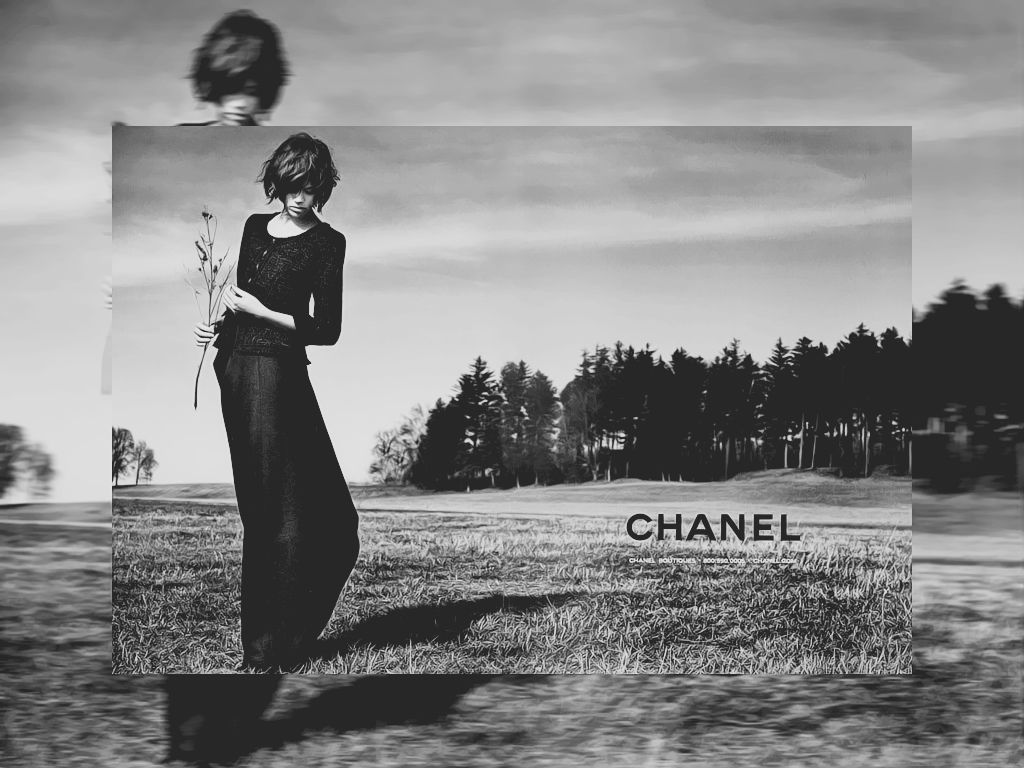 Vintage Chanel Background With COCO CHANEL W 33666