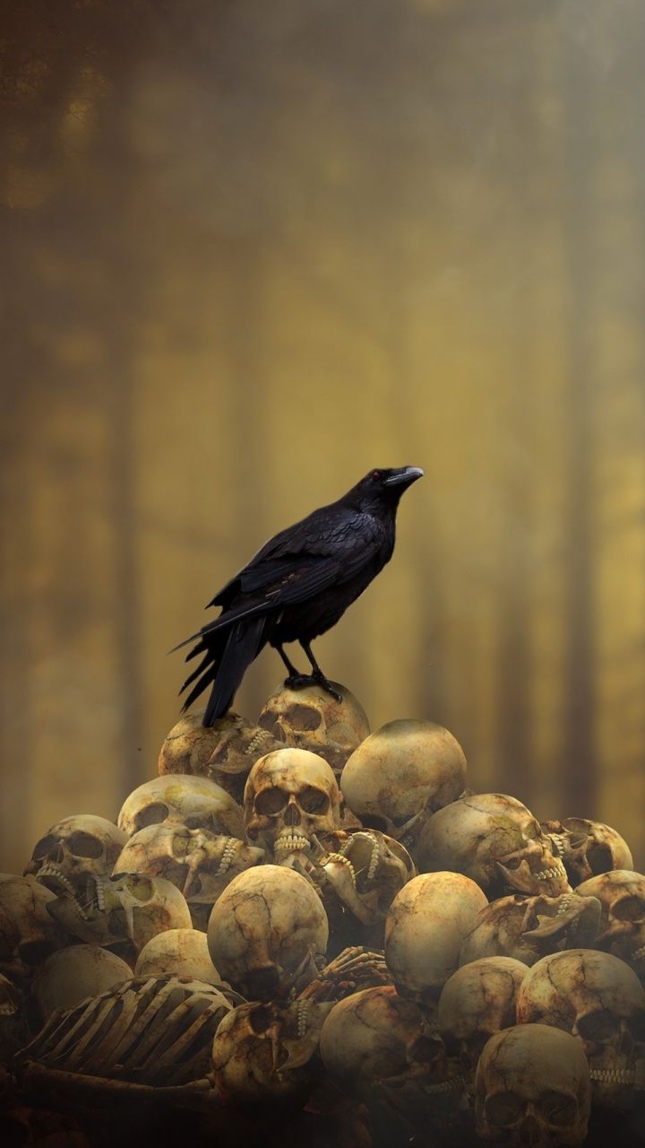 Fantasy, raven, skulls' heap, bird, 720x1280 wallpaper. Beautiful dark art, Gothic wallpaper, Viking wallpaper