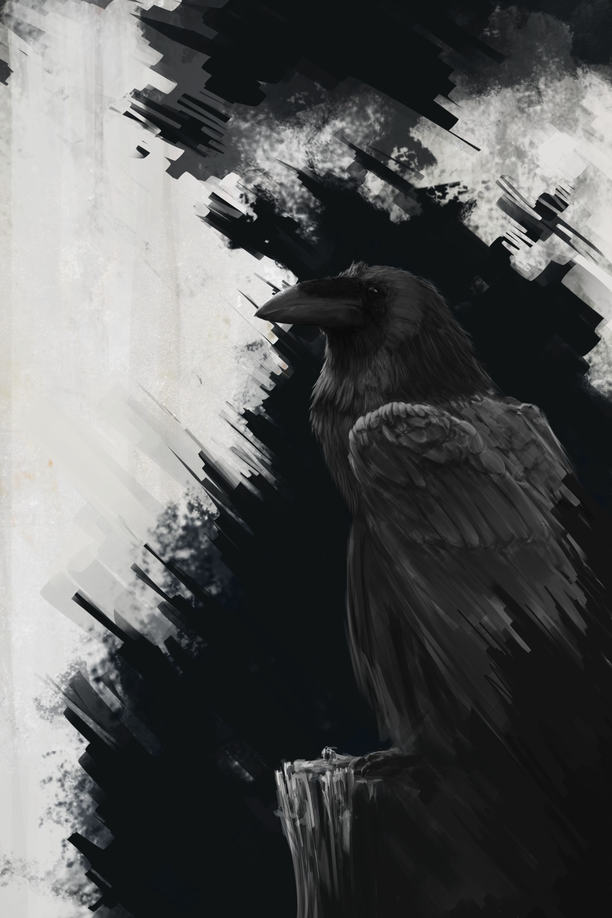 Wallpaper Raven, Bird, Art, Black, Lines Background Wallpaper & Background Download